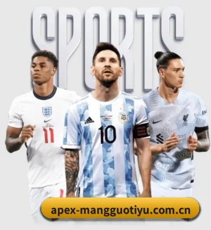 用内容积累长期价值 - 长期内容价值积累 - MangoSport